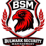 bsm_pakistan_logo-removebg-preview